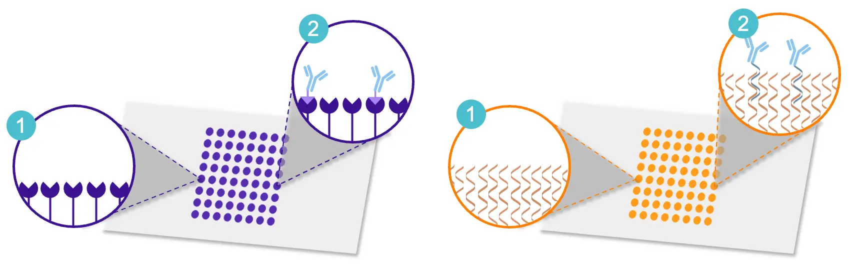 Chip layout and types.