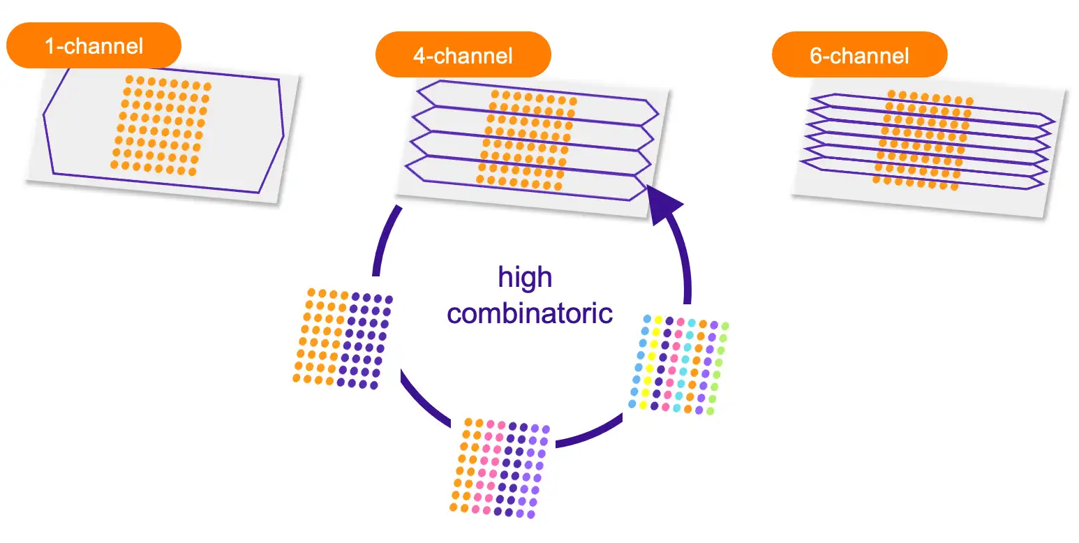Flow chamber layouts
