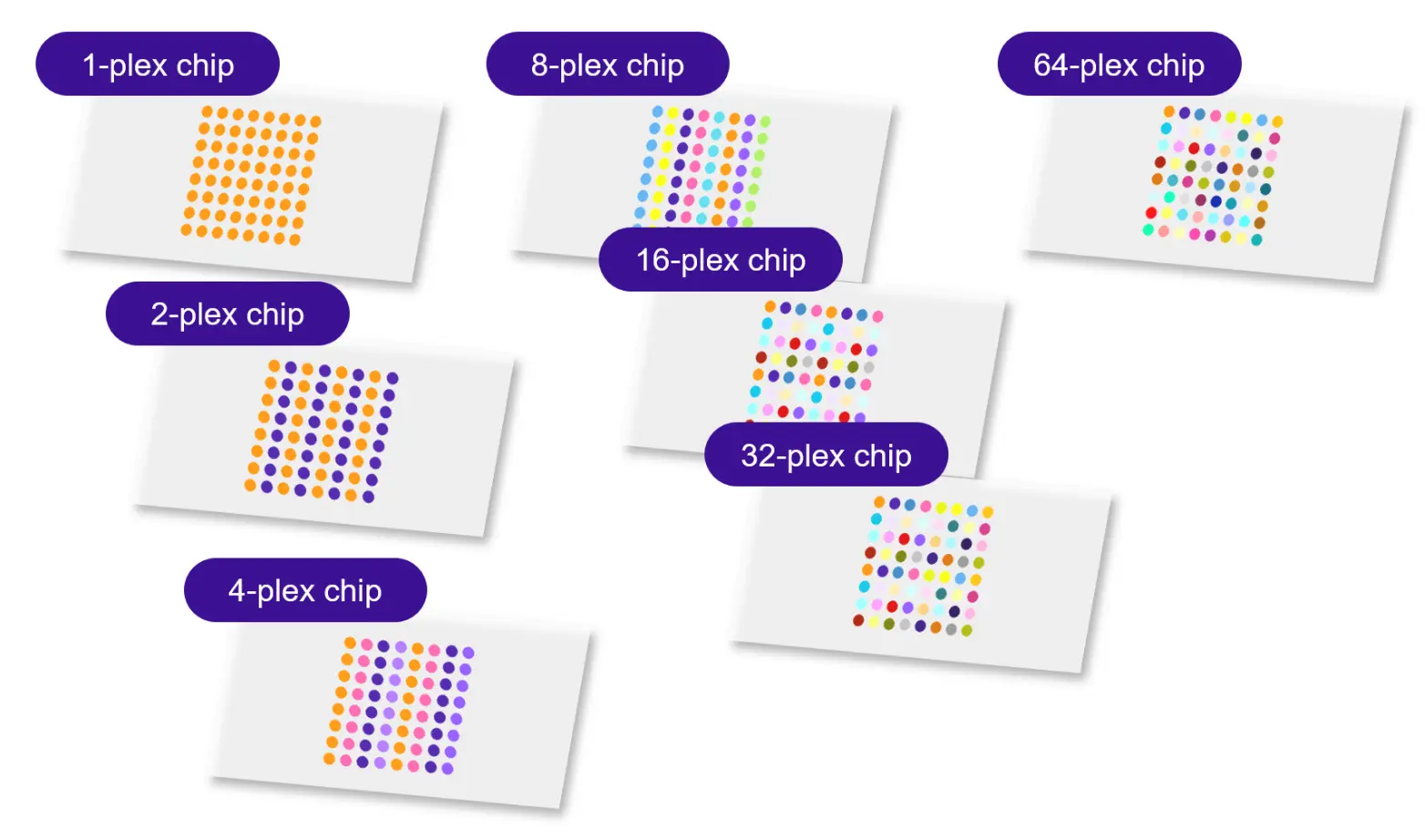 Example of multiplexed chip with different oligos on different molograms