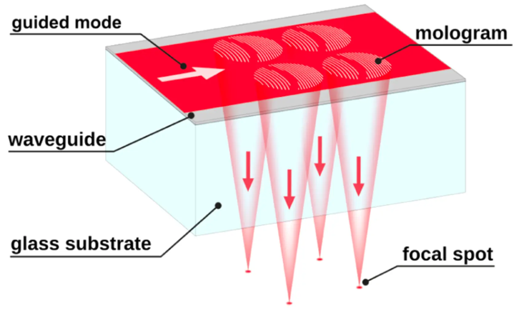 Schematic of the Focal Molography sensing principle showing waveguide, mologram, and focal spot
