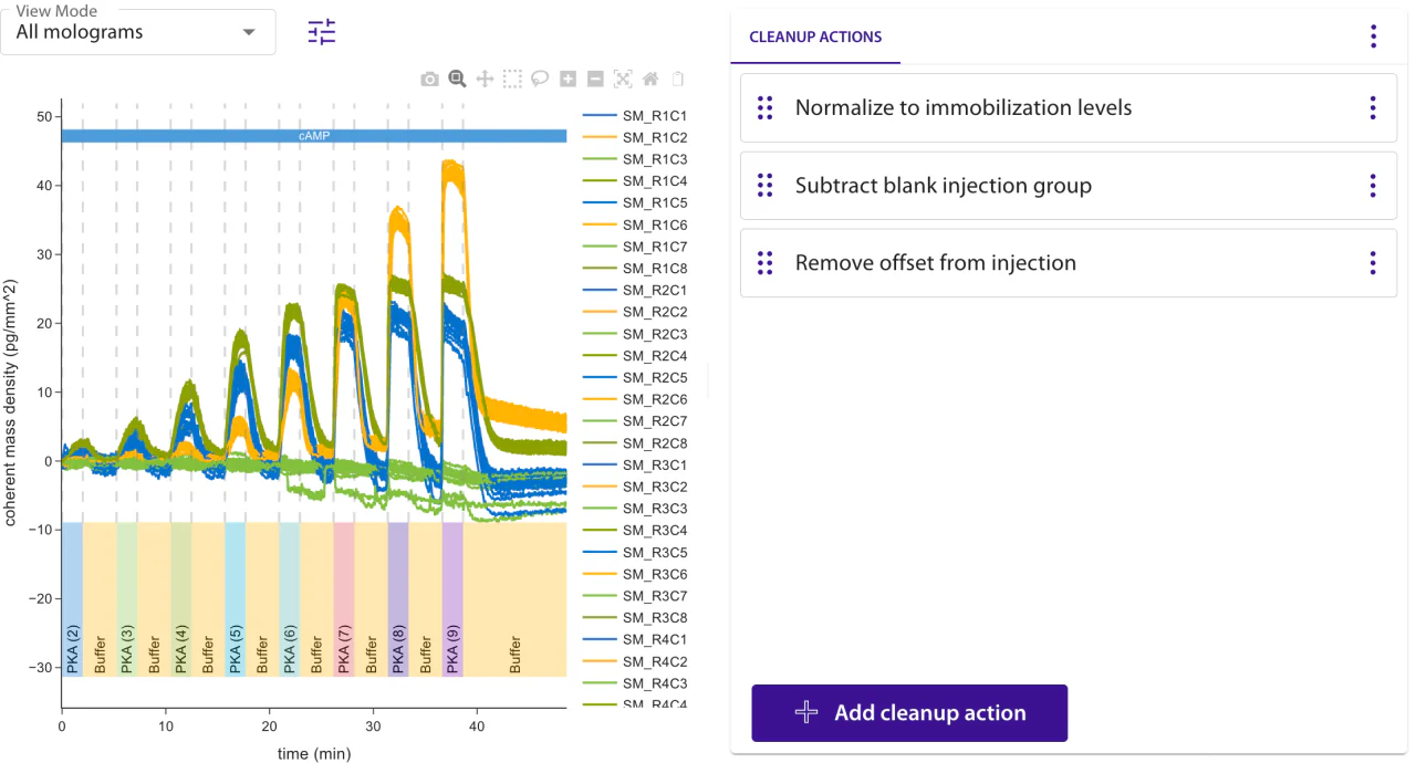 The Cleanup step of the Determine Kinetics wizard: a live response preview on the left and an editable list of cleanup actions on the right