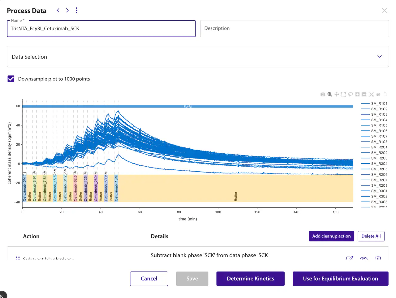 Process Data dialog for a single-cycle kinetics dataset, with Determine Kinetics and Use for Equilibrium Evaluation as the actions along the bottom